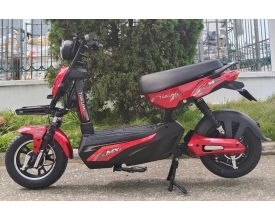 XE ĐIỆN - GX 133 (20A) .....