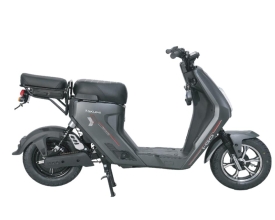 XE ĐIỆN - GX 133 (12A) .....