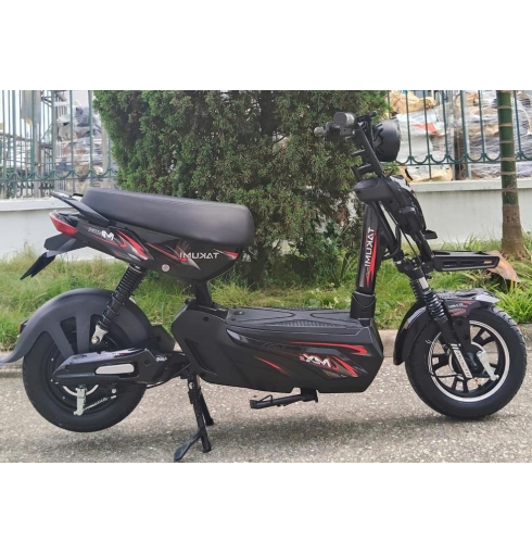 XE ĐIỆN - GX 133 (20A) .....